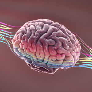 learn new courses, Shop Page