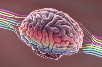 Unlocking The Creative Brain: Develop and Teach Skills For Creative Thinking