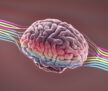Unlocking The Creative Brain: Develop and Teach Skills For Creative Thinking