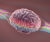 Unlocking The Creative Brain: Develop and Teach Skills For Creative Thinking